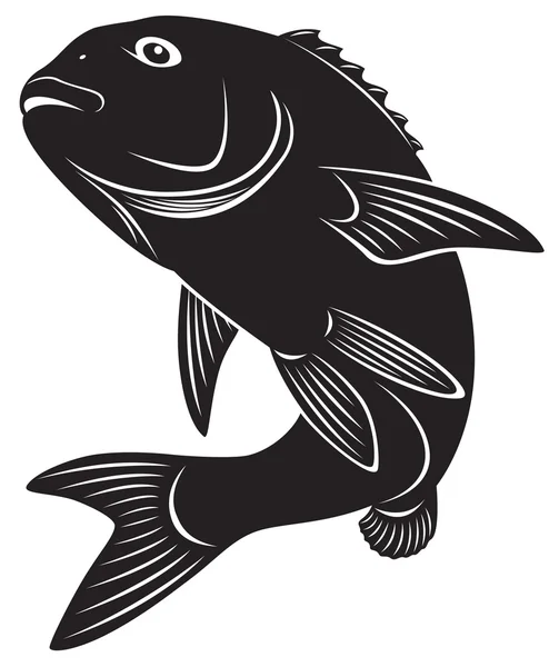 The figure shows sea bass — Stock Vector