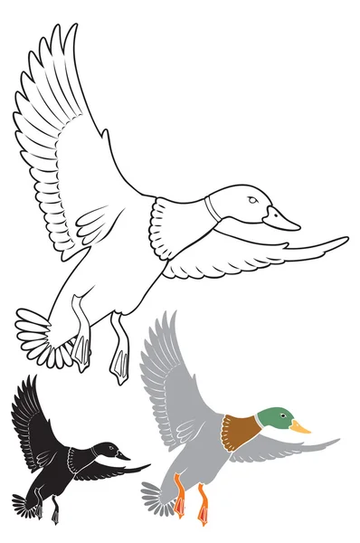 Die Abbildung zeigt die Ente — Stockvektor