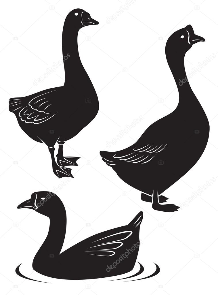 The figure shows a goose