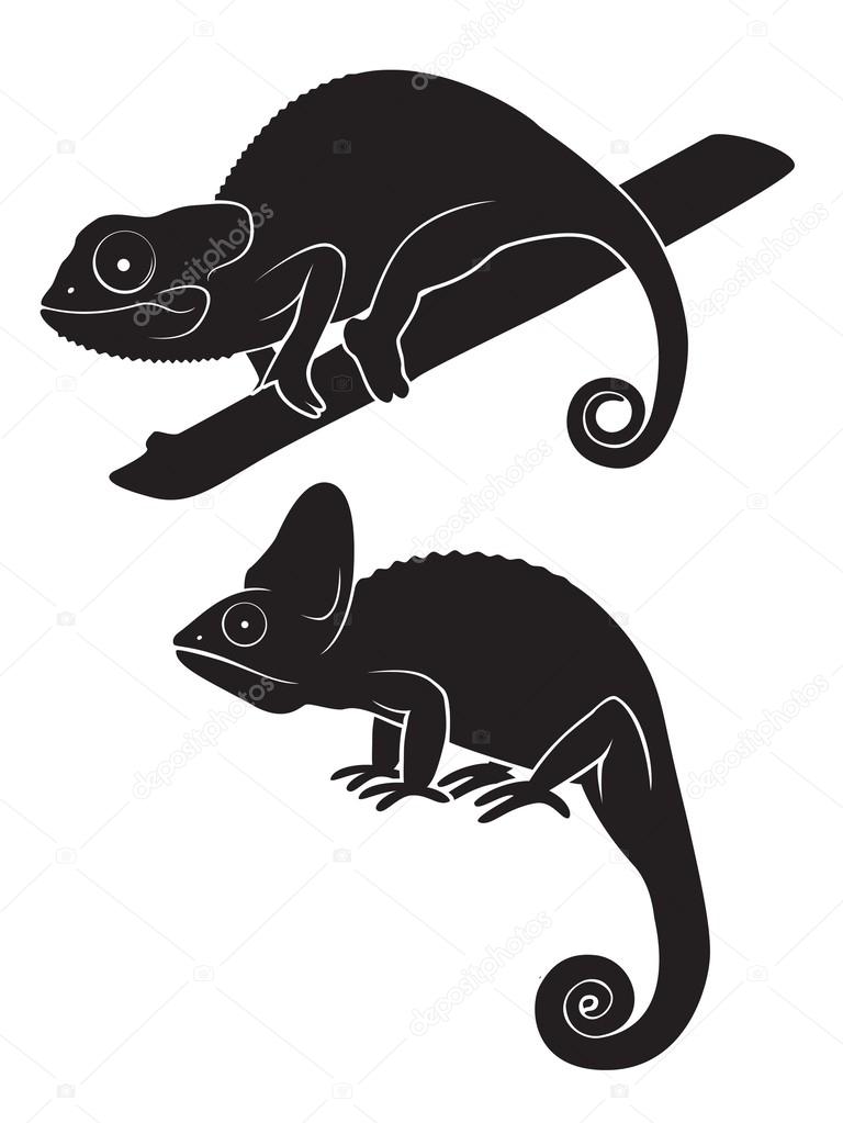 The figure shows a chameleon