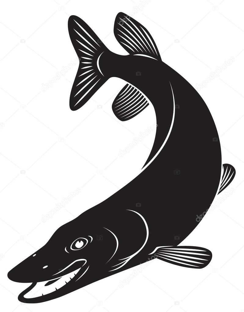The figure shows a fish pike