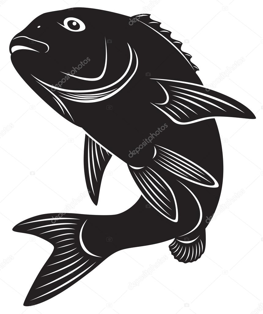 The figure shows sea bass