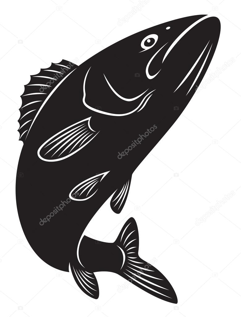 The figure shows Sriped Bass fish