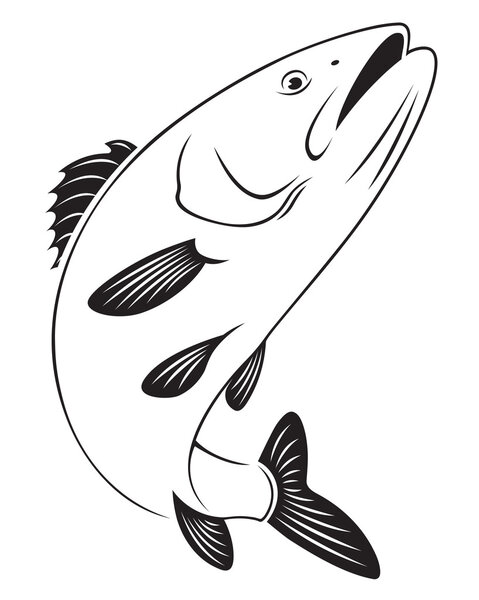 The figure shows sea bass