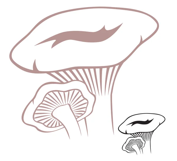 Obrázek ukazuje na houby — Stockový vektor