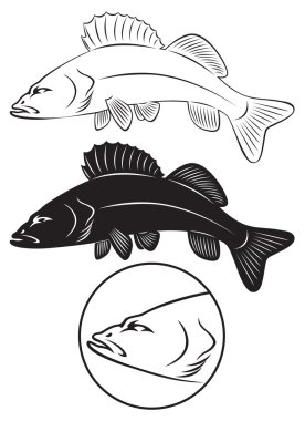 The figure shows Sriped Bass fish clipart