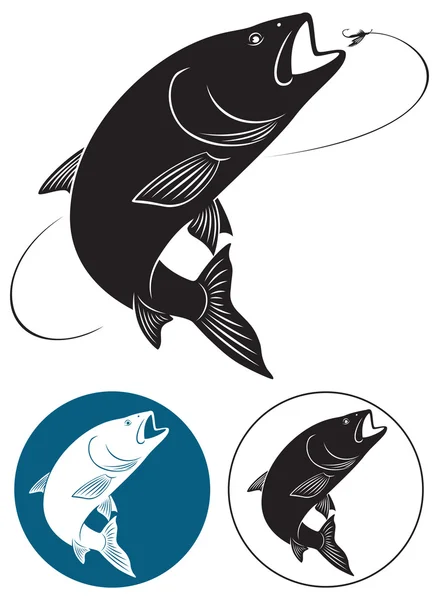 La figura muestra un pez chub — Vector de stock