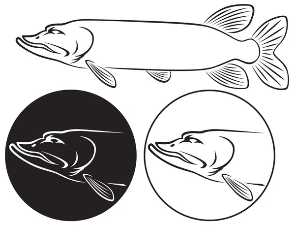 Pickerel fish silhouette — Stock Illustration Pickerel fish silhouette Royalty Free Stock Vectors