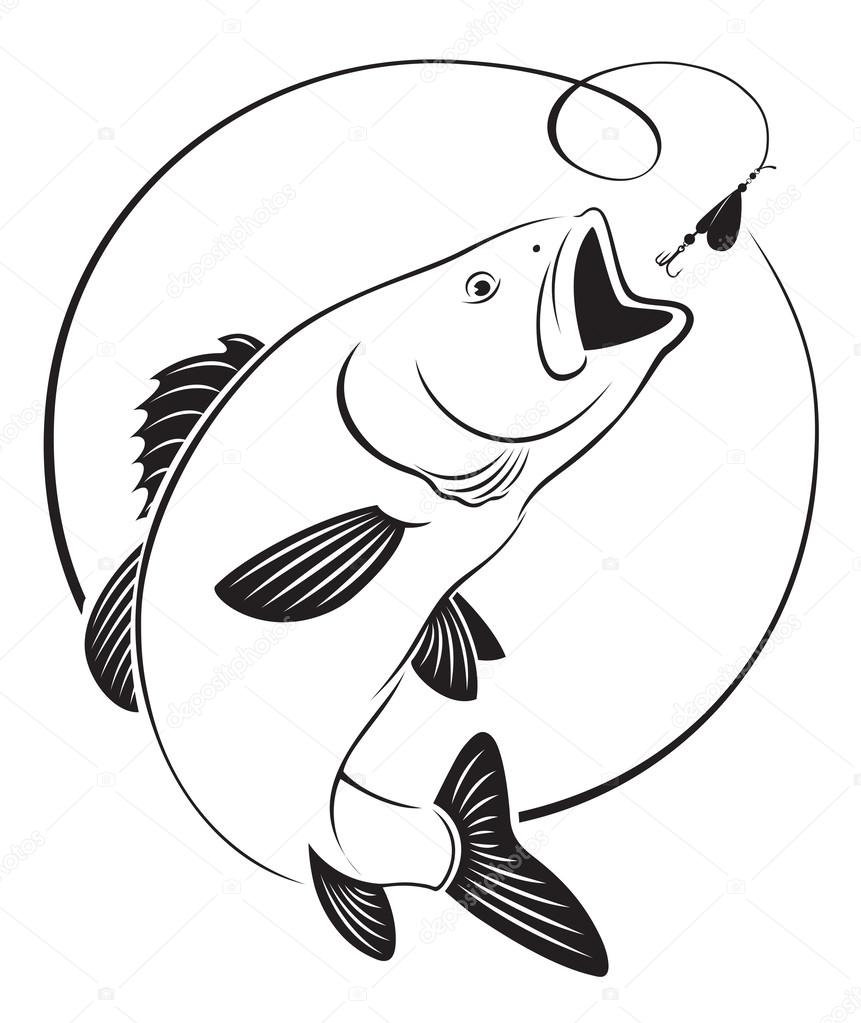 The figure shows fish bass