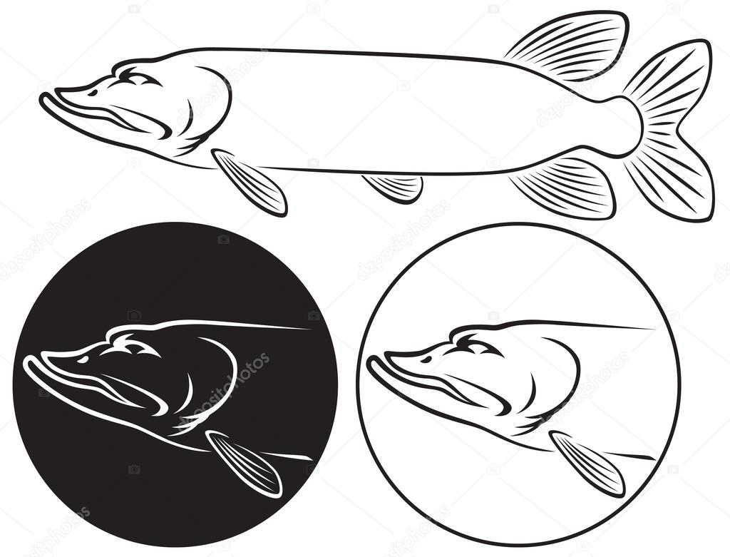 Pickerel fish silhouette