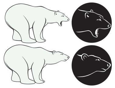 şekil bir ayı gösterir