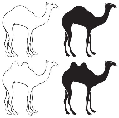 şekil bir deve gösterir