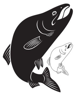 The figure shows the fish humpback clipart