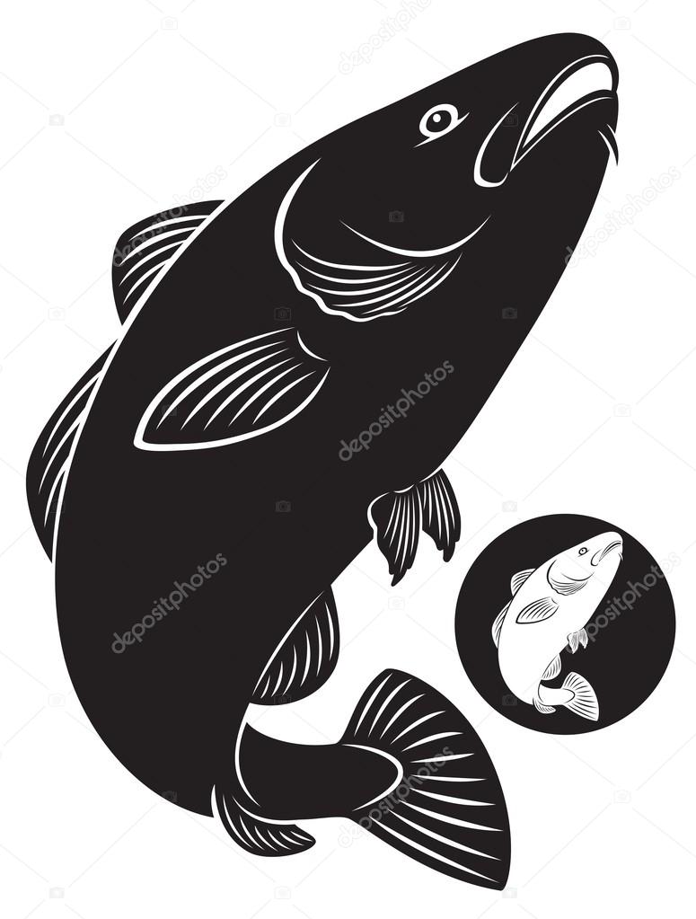 The figure shows a cod fish