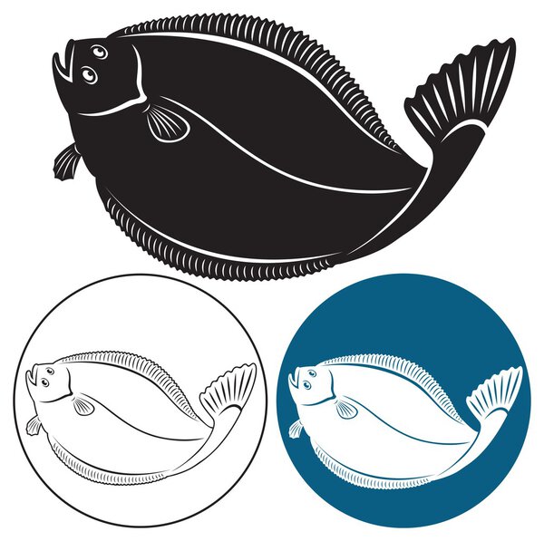 The figure shows the fish halibut