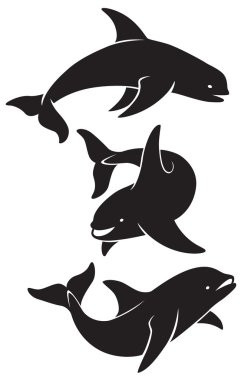 katil balina şekil gösterir