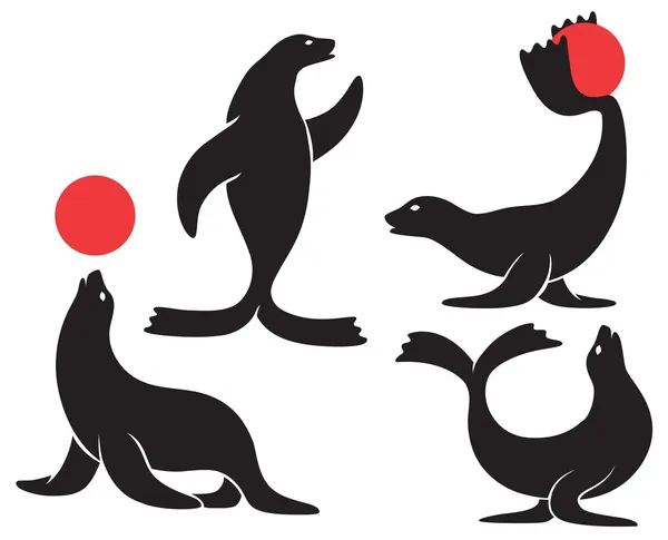 a figura mostra uma foca de circoşekil bir sirk foku gösterir