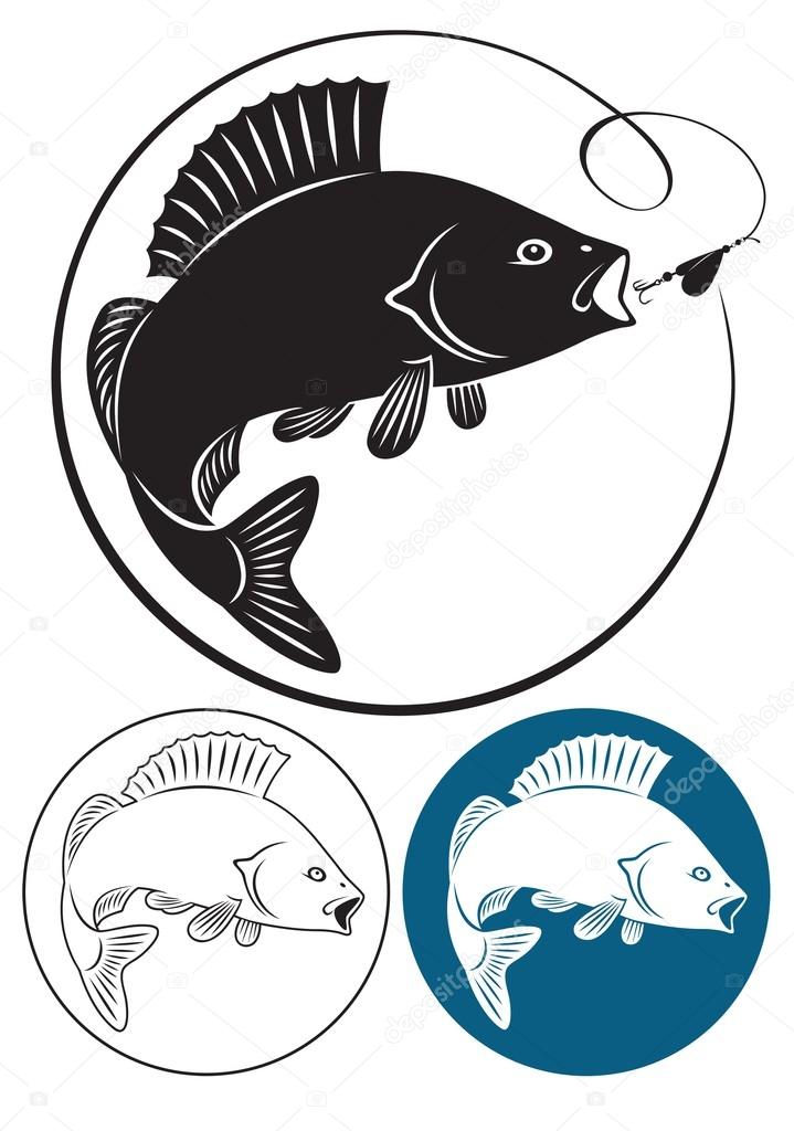 The figure shows fish bass