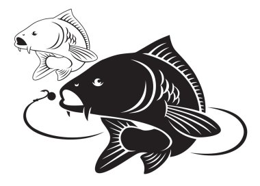 Illustration of the carp fish clipart