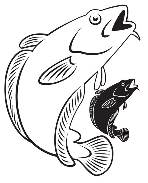 Illustration of a cod fish
