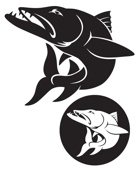 Ilustración de los peces barracuda — Vector de stock