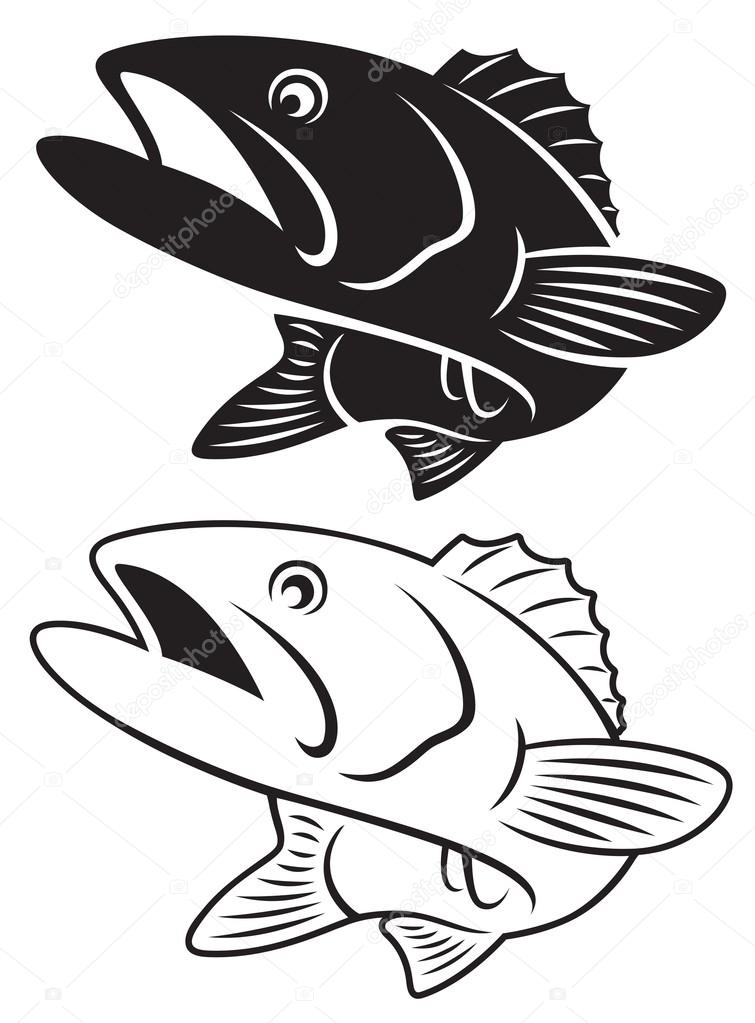 Illustration of fish bass