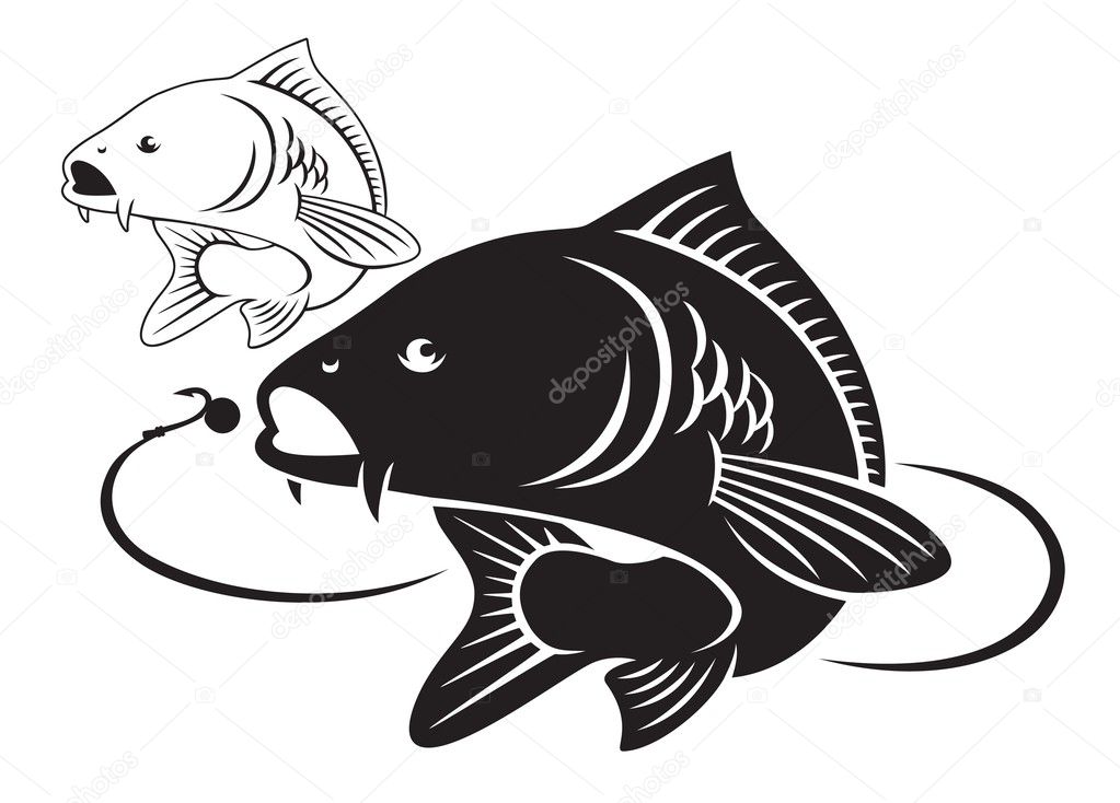 Illustration of the carp fish