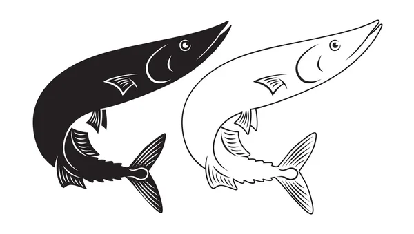 Saury du poisson — Image vectorielle