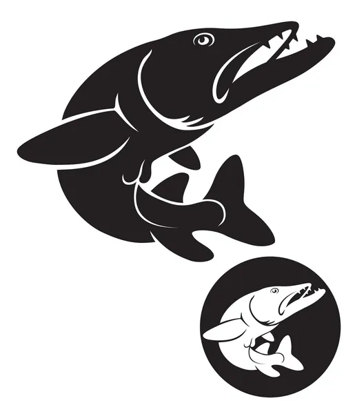The figure shows a fish pike — Stock Illustration The figure shows a fish pike Stock Illustration