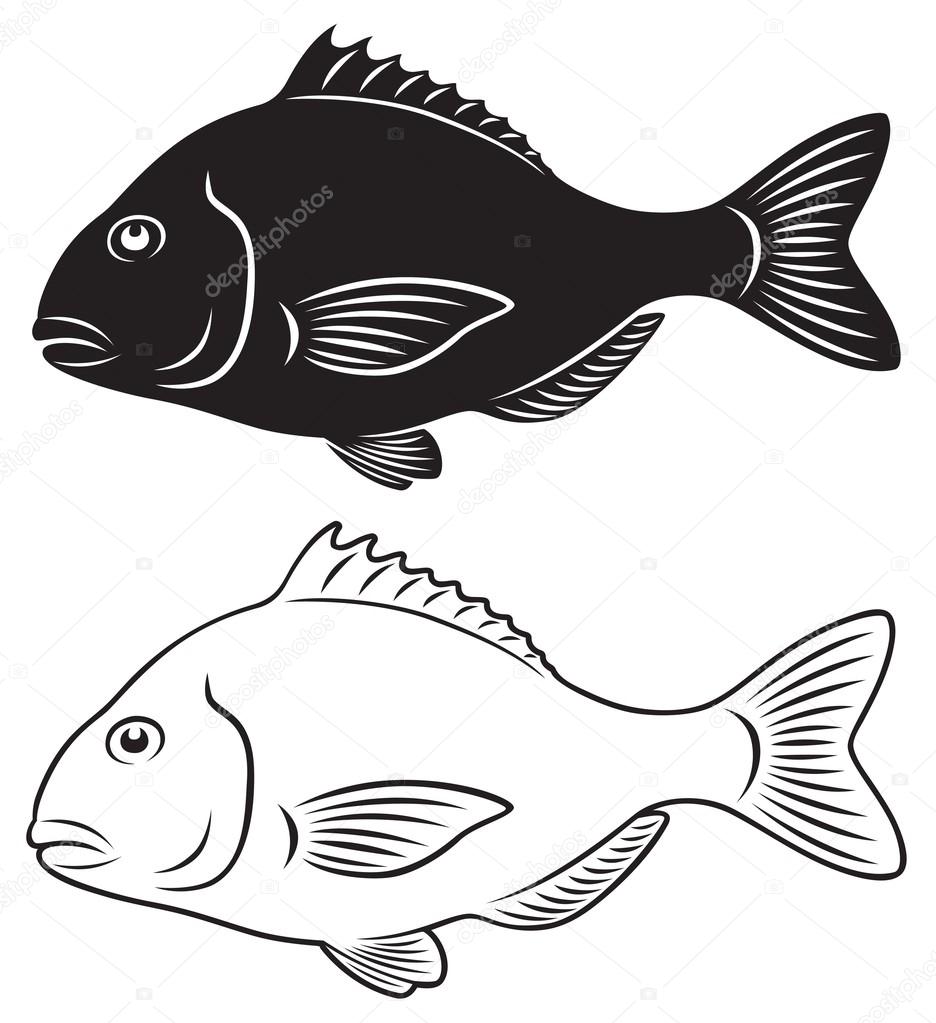 The figure shows seabass
