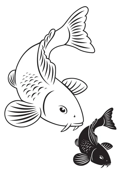 Fish carp koi — Stock Vector