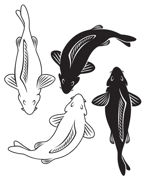 Karpfenfische — Stockvektor