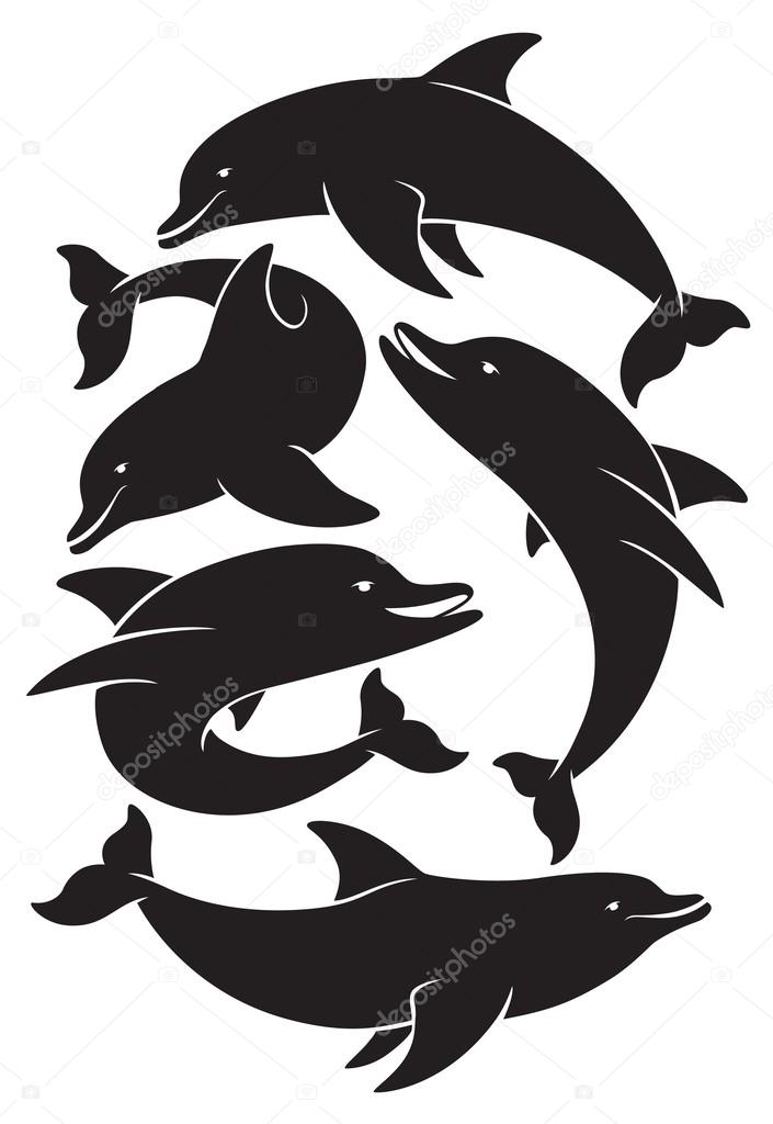Black dolphins