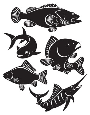 Different fishes clipart