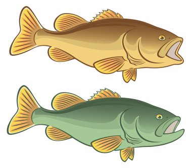 Fish bass clipart