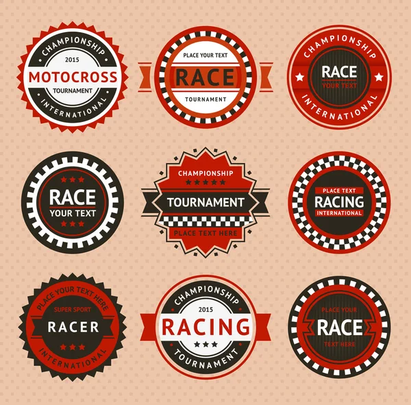 Racing insignia - vintage style — Stock Vector