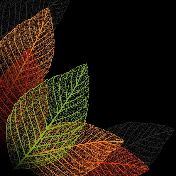 スケルトンの葉の背景. ロイヤリティフリーのストックイラスト