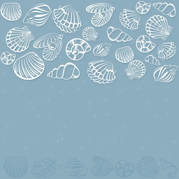 Seashell card. — Stock Vector