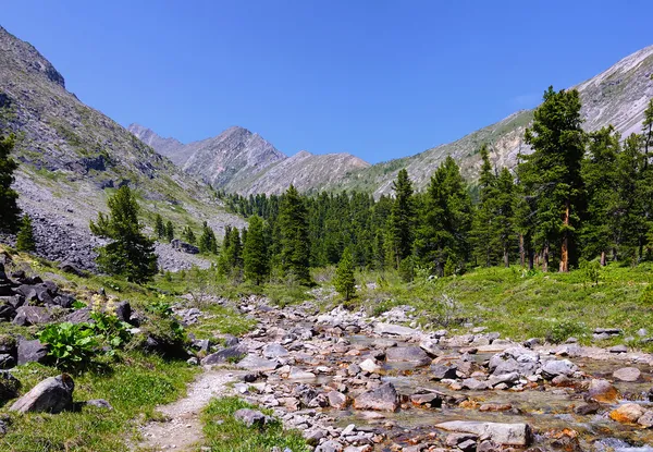 Little mountain stream — Stock Photo, Image