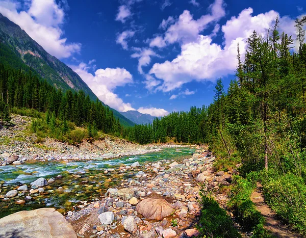 Dağ Nehri — Stok fotoğraf