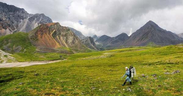 Hiking. She quickly goes on alpine tundra — Stock Photo, Image