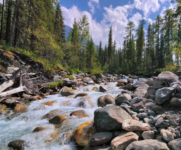 Un piccolo fiume di montagna — Foto Stock