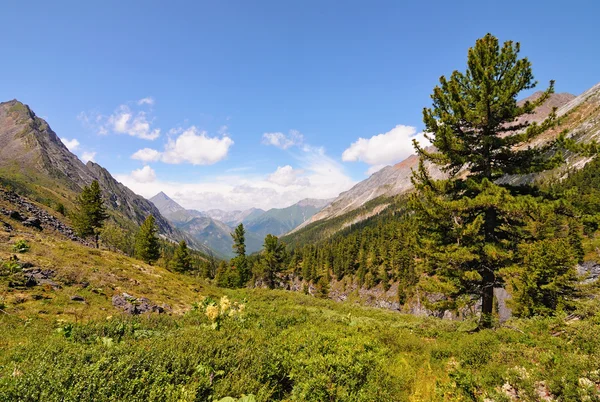 In a mountain valley — Stock Photo, Image