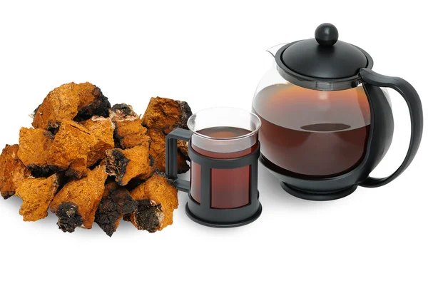 Chaga gomba (Inonotus obliquus ) — Stock Fotó