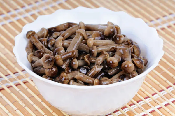 Marinated mushrooms - honey fungus — Stock Photo, Image