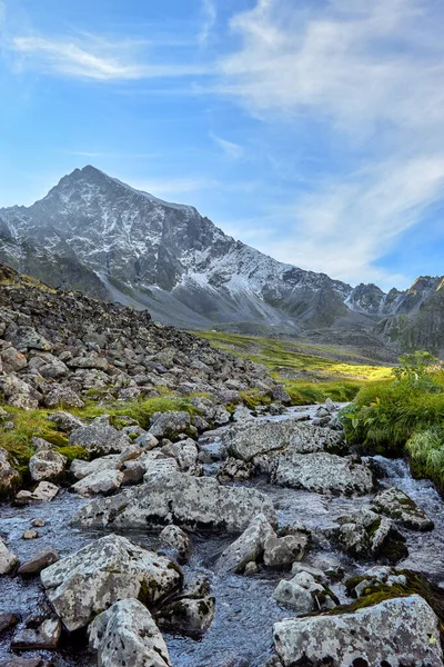 Large Fragments Granite Overgrown Lichen Lie Water Mountain Stream Evening — Stock Photo, Image