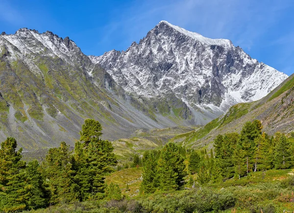 Rare Mountain Dark Coniferous Forest Background Pyramidal Peak August Day — Stock Photo, Image