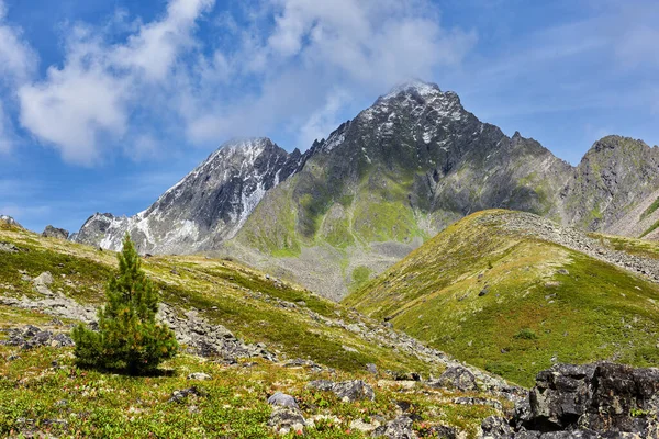 Alpine Toendra Bergen Van Oost Siberië Mooi Weer Augustus Rusland — Stockfoto