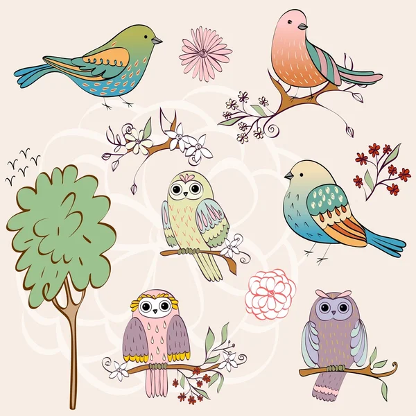 Conjunto de aves — Vector de stock