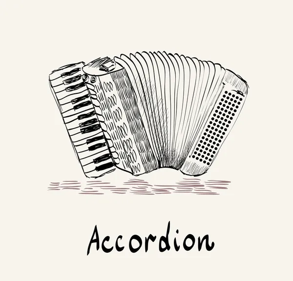 Accordion — Stock Vector